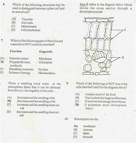 Aqa A Level Biology Paper 1 2023 Twitter Printable Templates Protal