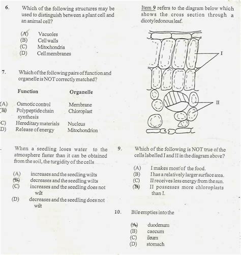 Cxc Biology Past Papers 2010 By Jeffehaf Issuu Vrogue