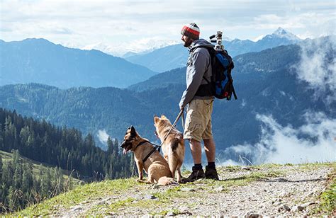 Hiking With Your Dog Zoetis Petcare