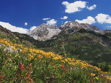 Spring In The Rockies Wallpaper Wallpapersafari