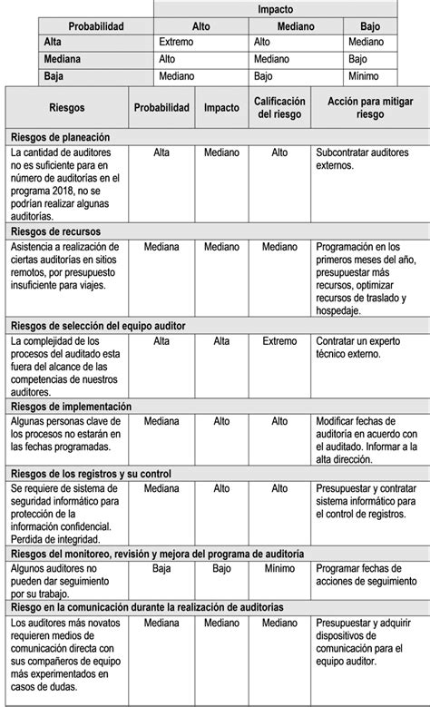 Cómo Hacer Un Programa De Auditorías Según Iso 190112018 Pymes Y