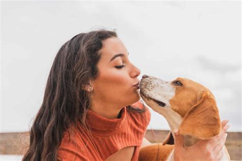 10 Surprising Facts About Dog Kisses Atractivopets