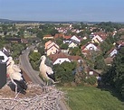 Webcam: Weißstörche in Muhr am See (Altmühlsee) - #343 von Elke2 - LBV ...
