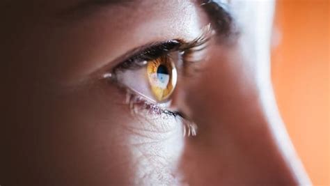 Our eyes are our windows to see the world around us. 7 Incredible Benefits Of Castor Oil Benefits For Skin And ...