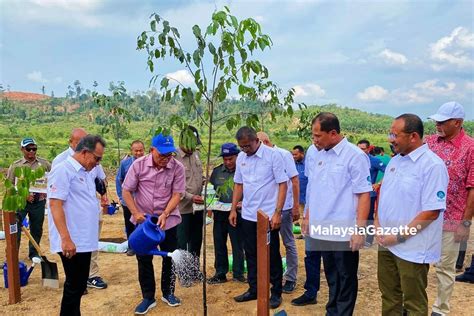 Pahang tanam 4.9 juta pokok sempena Kempen Program Penghijauan Malaysia