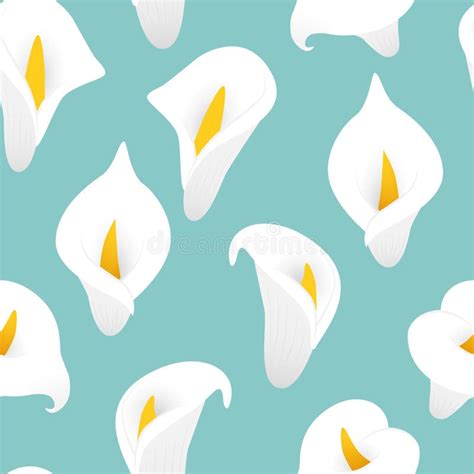 Calla Lilly Flower Stock Illustrations 599 Calla Lilly Flower Stock
