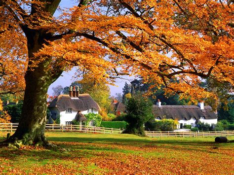 Autumn England Countryside Wallpapers Wallpaper Cave