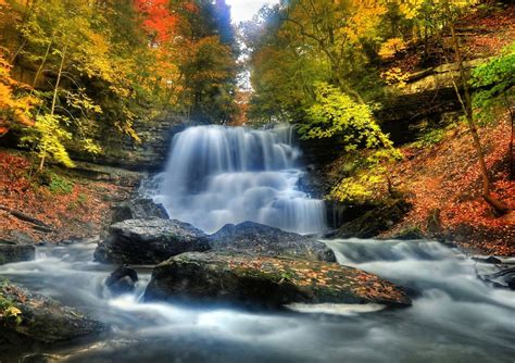 Autumn Forest Waterfall Hd Wallpaper Background Image