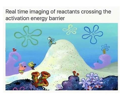 Spongebob Science Meme