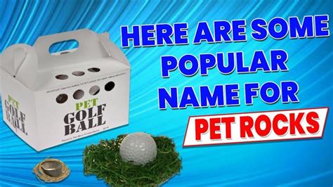 Top Pet Rock Names That Were Popular How To Get The New Pet Rock
