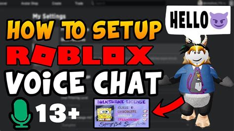 How To Setup Roblox Voice Chat Full Setup Tutorial Fast And Easy 13 Youtube