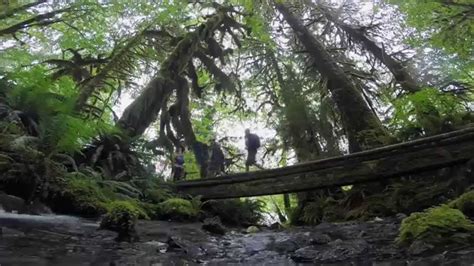 Hoh Rainforest Five Mile Island Trail Youtube