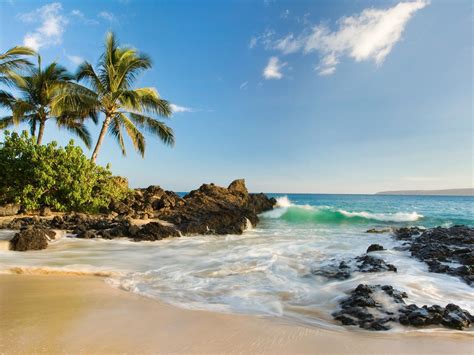 10 Best Beaches In Maui Best Beaches In Maui Maui Beach Cool Places To Visit