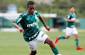 Promessa de 14 anos, Estevão Willian marca primeiro gol pelo Palmeiras ...