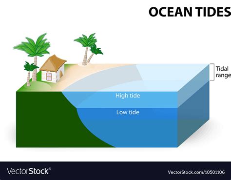 Ocean Tides Royalty Free Vector Image Vectorstock