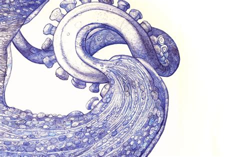 giant octopus drawn   discarded ballpoint pens