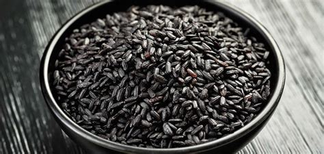 Black Rice Forbidden Black Rice Nutrition Facts And Health Benefits