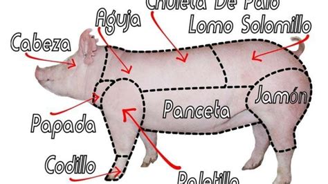 Cómo Identificar Los Cortes De Cerdo