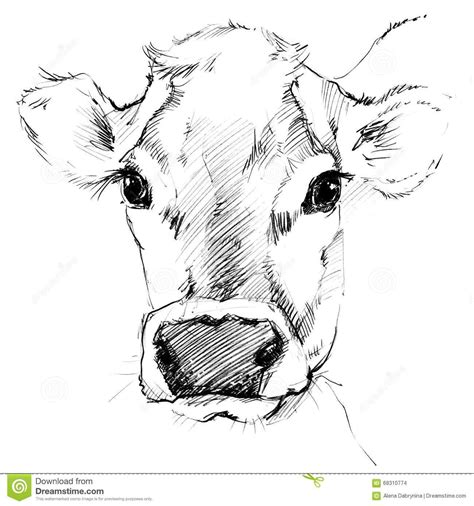 Pin By Mellis Geschenkebox On Bauernhof Tiere Malen Cow Drawing Cow