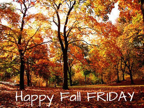 Holiday Inn Washington Dc Happy Fall Friday Happy Friday F Flickr