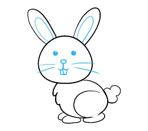 How To Draw A Bunny Rabbit Easy Lira Arprot77