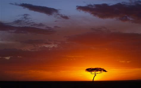 Why Kenya Is A Great Choice For A Winter Sun Holiday Adventure Bagging