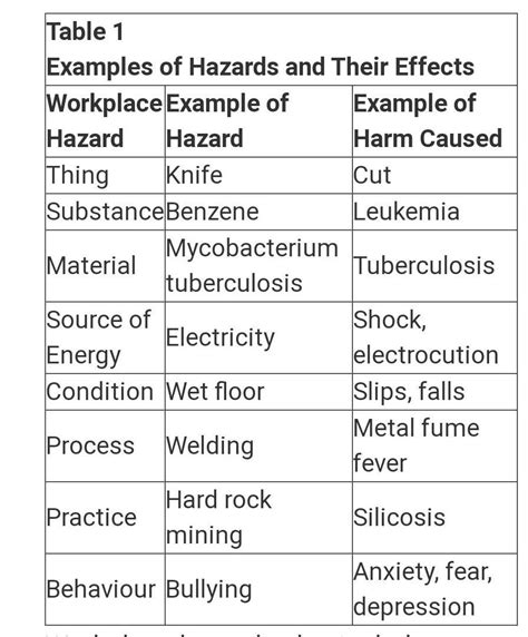 Examples Of Hazards And Risks Brainlyph