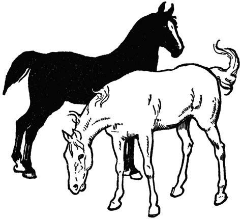 Horse Group Clipart Clipground