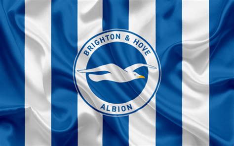 Brighton hove albion fc logo png and vector logo download. Brighton Png / Bernardo Profile News Stats Premier League ...