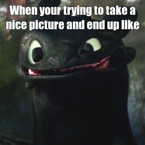 Toothless Meme By Piratezero32 Memedroid