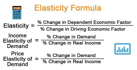 Elasticity Formula Explanation Example With Excel Template