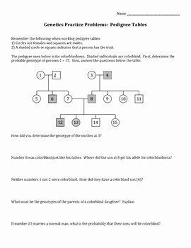 The following pairs of letters represent alleles of different genotypes. Mendelian Genetics Worksheet Answer Key + My PDF ...