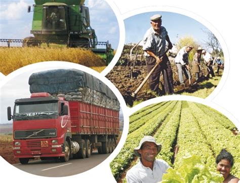 Nesta data, as cooperativas de motoristas de cada estado organizam campanhas de conscientização para que a população e condutores saibam da responsabilidade do ato de. Vereador Rui Lorenzato: HOMENAGEM AO DIA DO COLONO E MOTORISTA