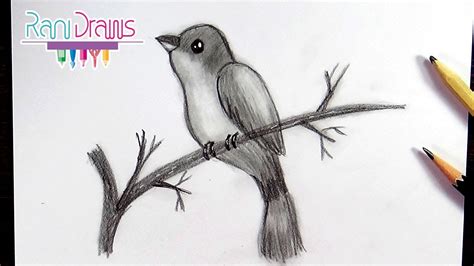 Cómo Dibujar Un Ave Con LÁpiz How To Draw A Bird With Pencil
