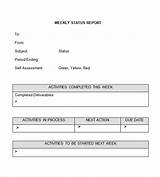 Images of Website Status Report Template
