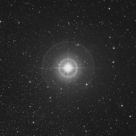 ζ Cephei Zeta Cephei Star In Cepheus