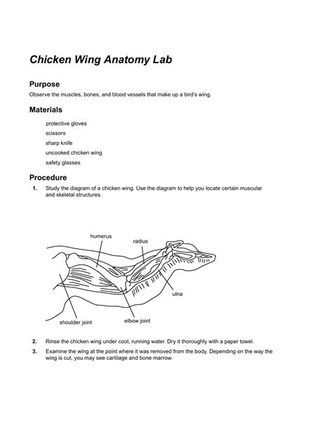 Chicken Wing Anatomy Lab