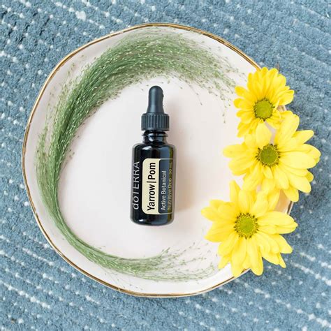 Yarrow Pom Oil Uses And Benefits D Terra Essential Oils