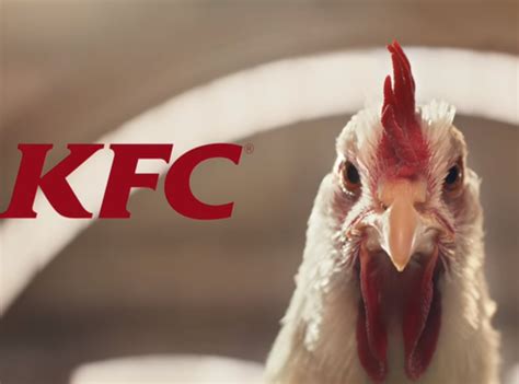 Kfc Ads Banned Over ‘cluck Row News Mca Insight