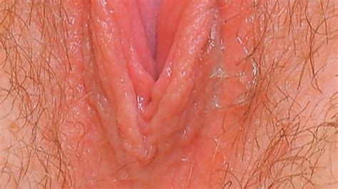 Female Textures Kiss Me Hd 1080pvagina Close Up Hairy Sex Pussy