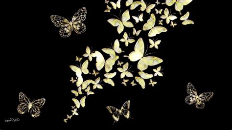 Black Butterfly Background Wallpaper 68 Images
