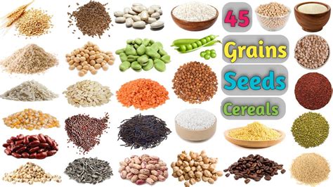Grains Vocabulary Ll About 45 Grains Seeds And Cereals Name In English