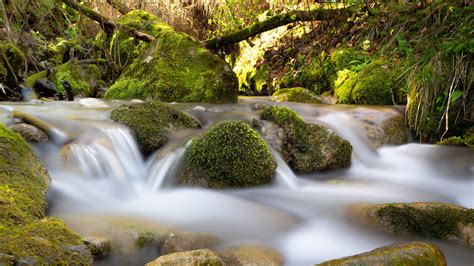 Download Wallpaper 2560x1440 River Stream Stones Moss Water Long