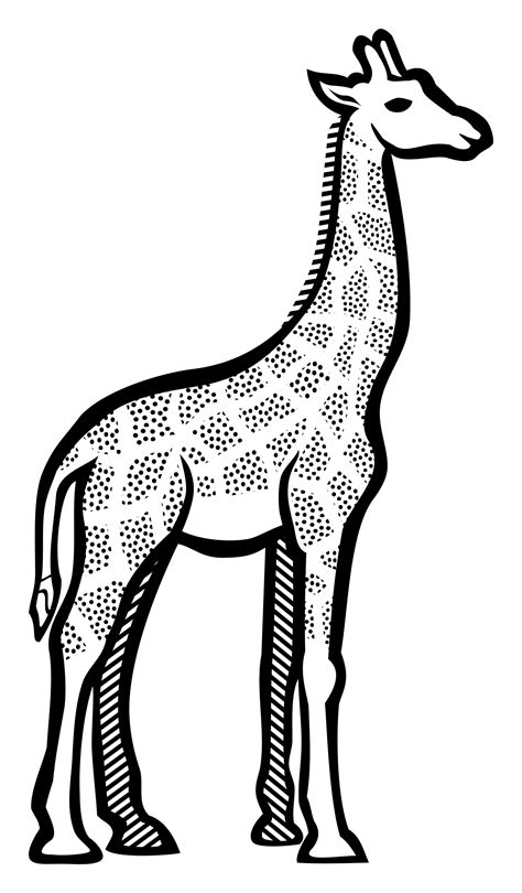 Giraffe Outline Svg