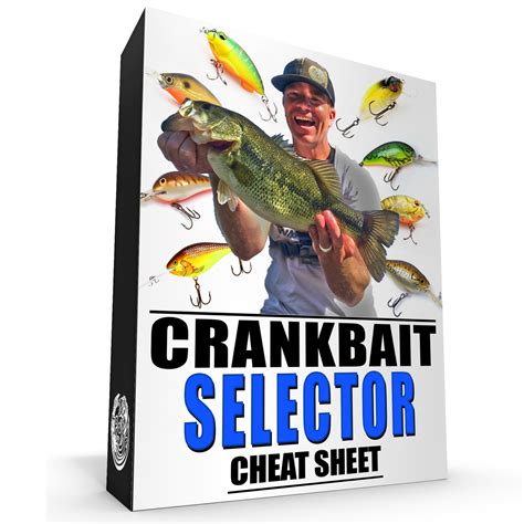 Crankbait For Bass The Ultimate Guide To Catch More Bass