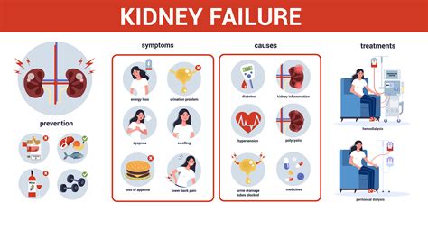 Dietary Management For Chronic Kidney Failure