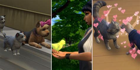 The Sims 4 Cats And Dogs Kid Is Waking Up Sterlinglana