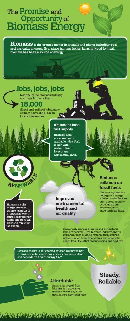 Promise Benefits Of Biomass Energy Infographic Reenergy Holdings