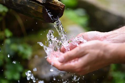 Descubre El Significado De Soñar Con Bañarse En Agua Limpia Análisis