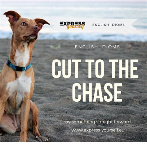 English Idioms Cut To The Chase Express Yourself